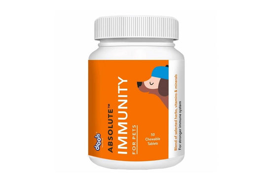 Absolute Immunity Supplement Tablet for Dogs