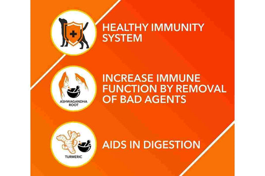 Absolute Immunity Supplement Tablet for Dogs