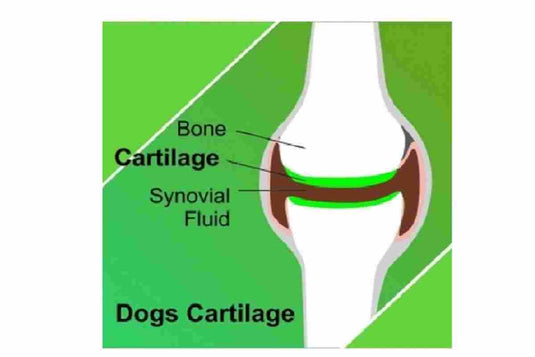 Absolute Mobility Tablet Dog Supplement