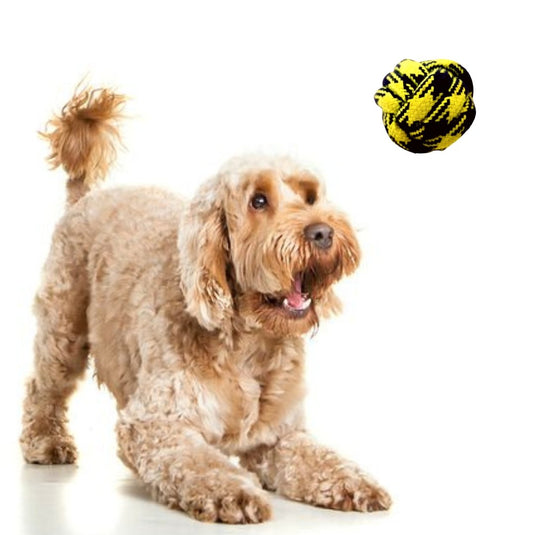 Papa Pawsome Braided Rope Ball Toy - Worth Rs.150