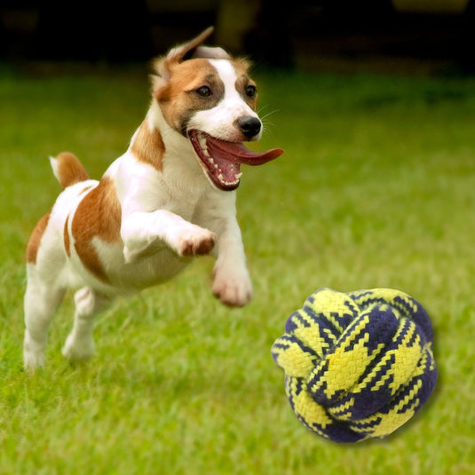 Papa Pawsome Braided Rope Ball Toy - Worth Rs.150