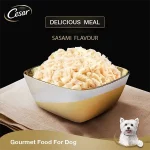 Cesar Premium Sasami Adult Wet Dog Food (Gourmet meal)