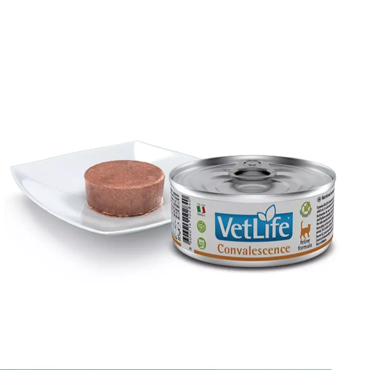 Farmina Vetlife Convalescence Wet Cat Food 85g