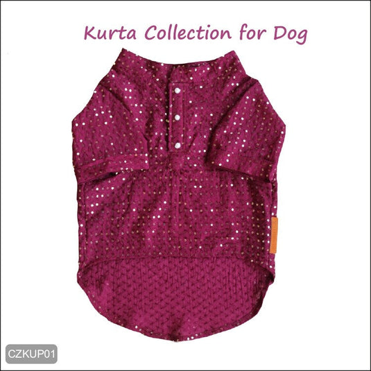 Maroon Kurta with Sequins