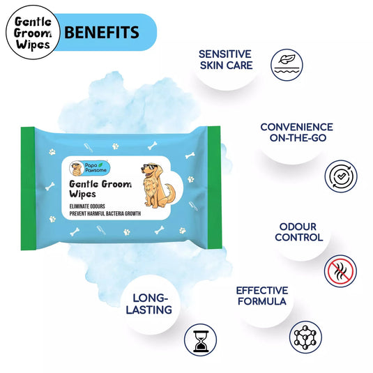 Papa Pawsome Gentle Groom Wipes for Dogs & Cats, 100 Wipes