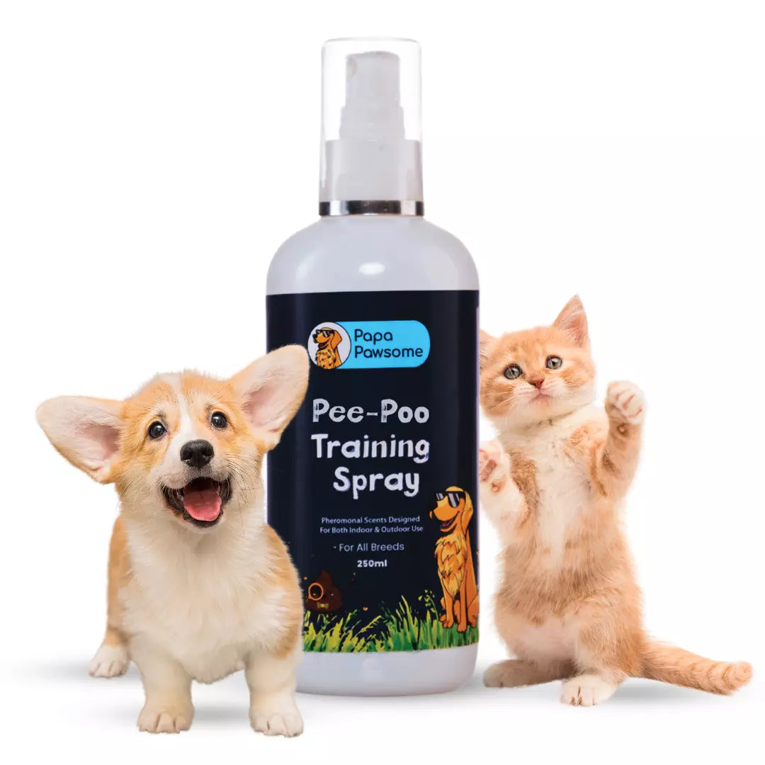 Pee training spray best sale