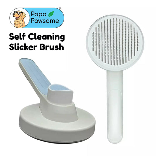 Papa Pawsome Self Cleaning Slicker Brush for Dogs & Cats - Oval